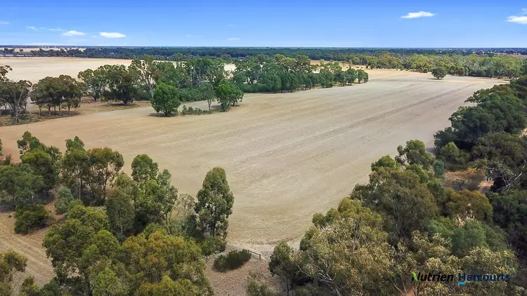 Third view of Homely rural property listing, 445 Kellys rd, Numurkah VIC 3636
