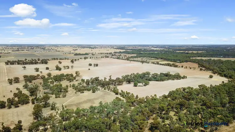 Fifth view of Homely rural property listing, 445 Kellys rd, Numurkah VIC 3636