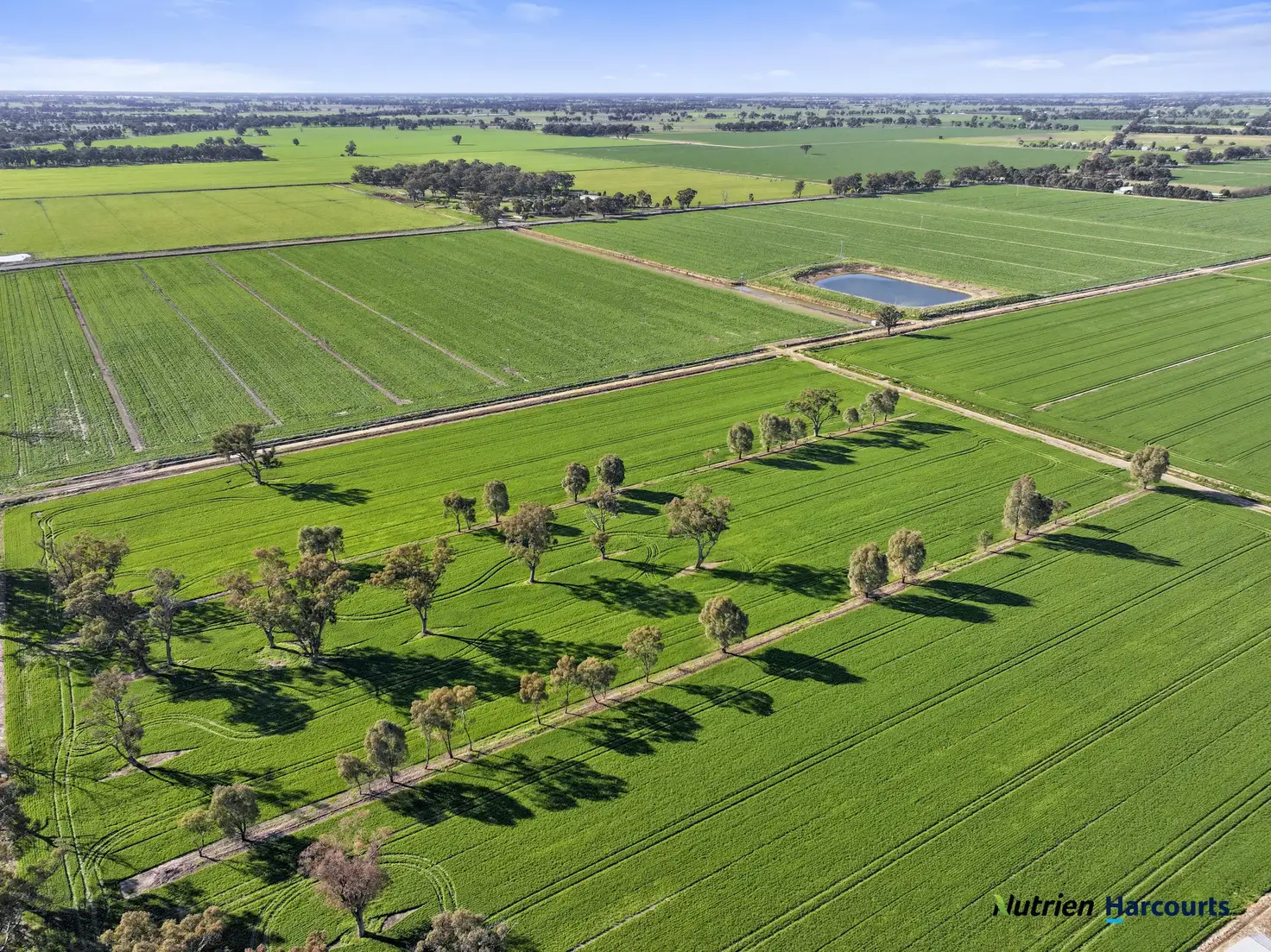 Main view of Homely rural property listing, 760 Lemnos North Road, Congupna VIC 3633