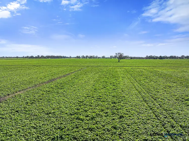 Fourth view of Homely rural property listing, 760 Lemnos North Road, Congupna VIC 3633