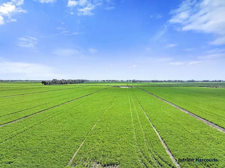 Sixth view of Homely rural property listing, 760 Lemnos North Road, Congupna VIC 3633