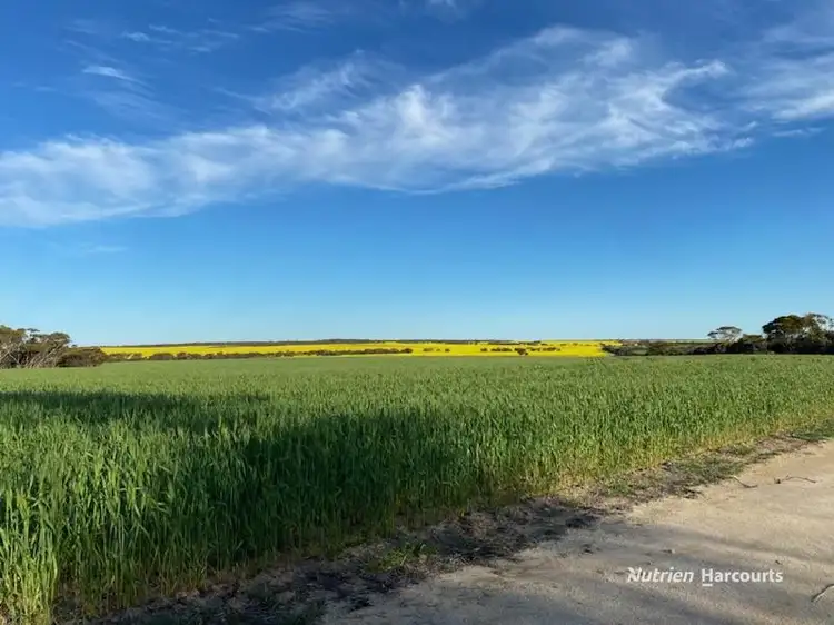 Main view of Homely rural property listing, . Stent Road, Pingaring WA 6357