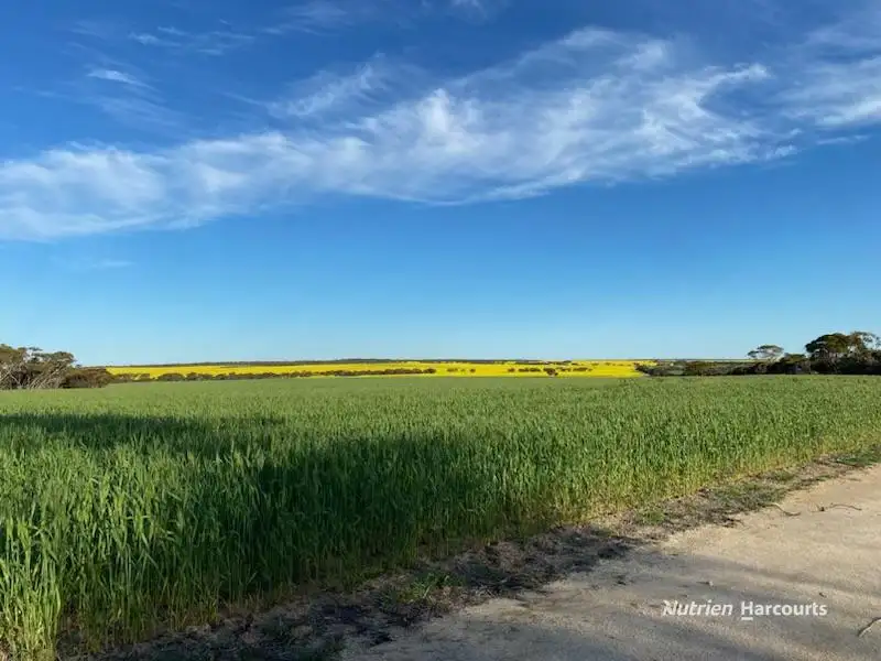 Main view of Homely rural property listing, . Stent Road, Pingaring WA 6357