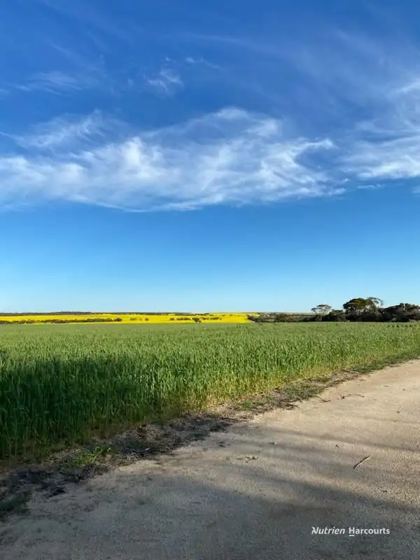 Second view of Homely rural property listing, . Stent Road, Pingaring WA 6357