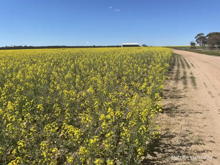 Sixth view of Homely rural property listing, . Stent Road, Pingaring WA 6357