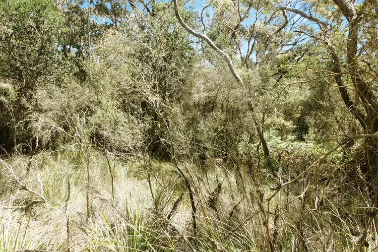 Second view of Homely land listing, PID 7384430 North Ansons Road, Gladstone TAS 7264