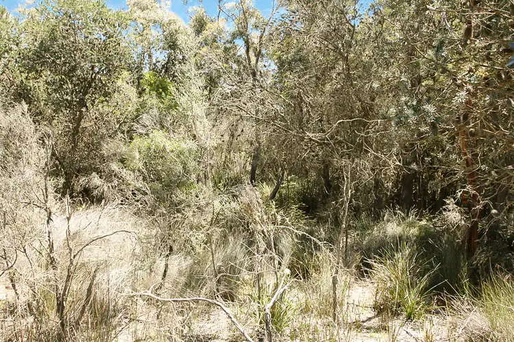 Fourth view of Homely land listing, PID 7384430 North Ansons Road, Gladstone TAS 7264