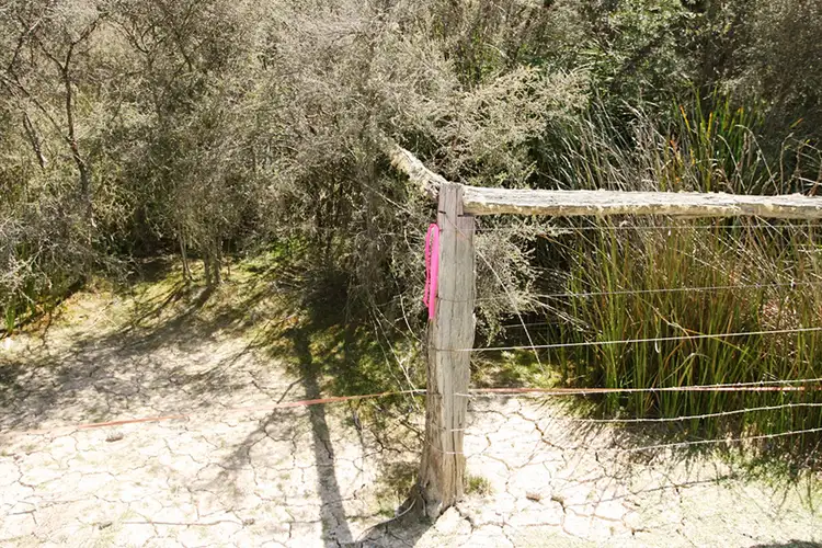 Sixth view of Homely land listing, PID 7384430 North Ansons Road, Gladstone TAS 7264