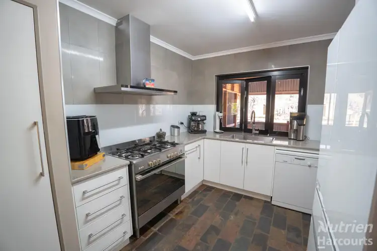 Main view of Homely rural property listing, 137 Greatorex Road, Ilparpa NT 873