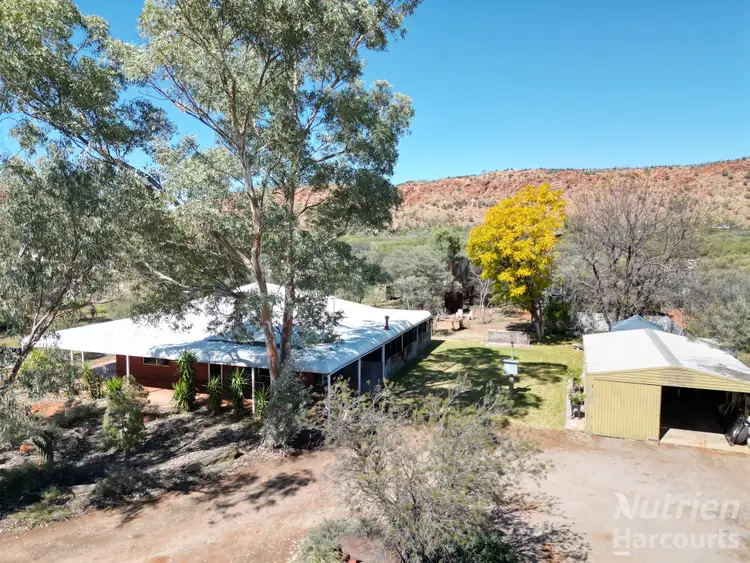 Third view of Homely rural property listing, 137 Greatorex Road, Ilparpa NT 873