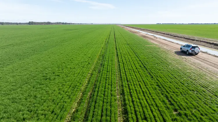 Main view of Homely rural property listing, Smeatonvale Laterals Boree-Morago Rd, Deniliquin NSW 2710