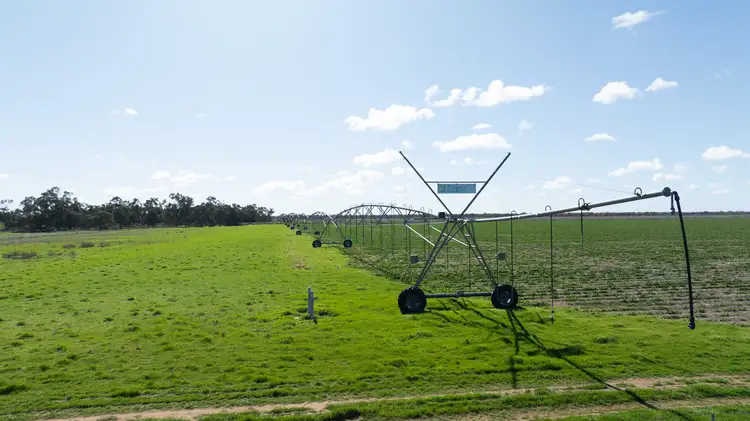 Seventh view of Homely rural property listing, Smeatonvale Laterals Boree-Morago Rd, Deniliquin NSW 2710
