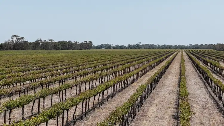 Third view of Homely rural property listing, 359 Chapel Road, Lake Plains SA 5255