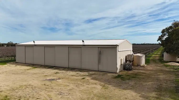 Sixth view of Homely rural property listing, 359 Chapel Road, Lake Plains SA 5255