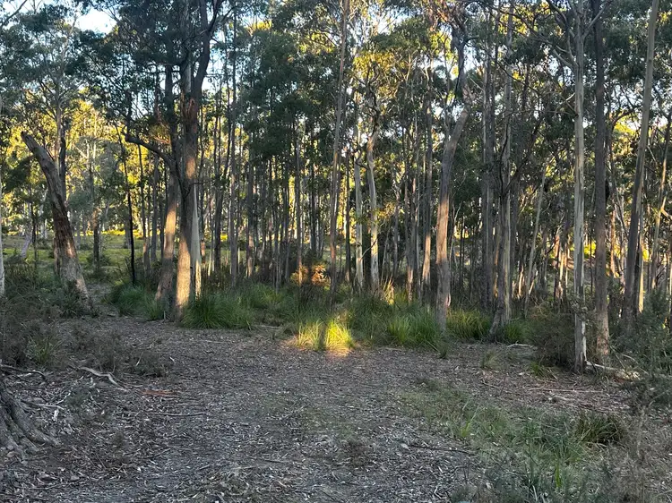 Lot 2 Gillies Road, St Marys TAS 7215