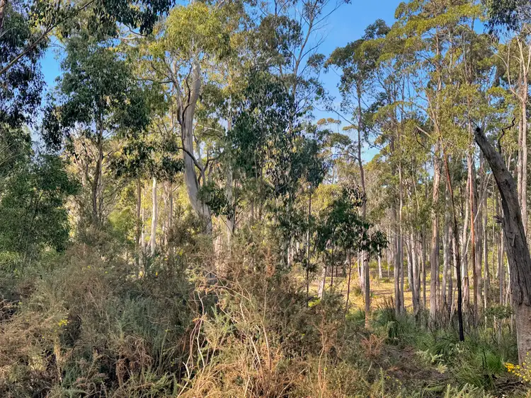 Lot 2 Gillies Road, St Marys TAS 7215