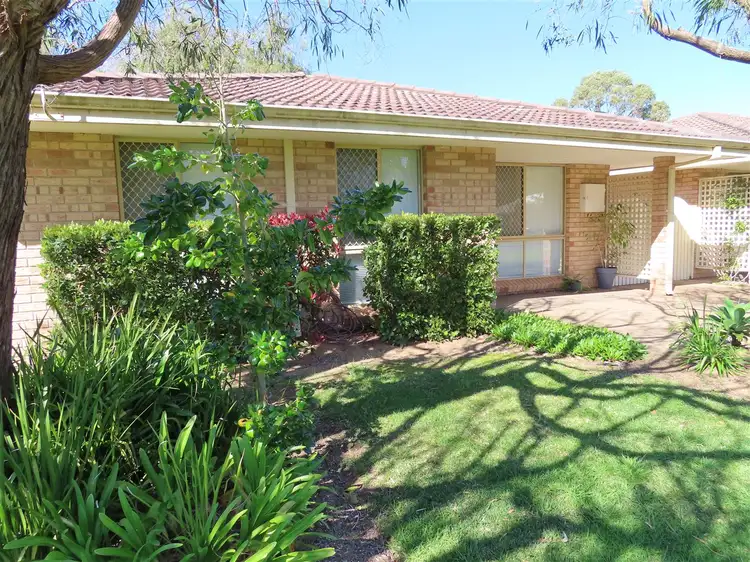 Main view of Homely house listing, 13/33 Davies Way, Broadwater WA 6280