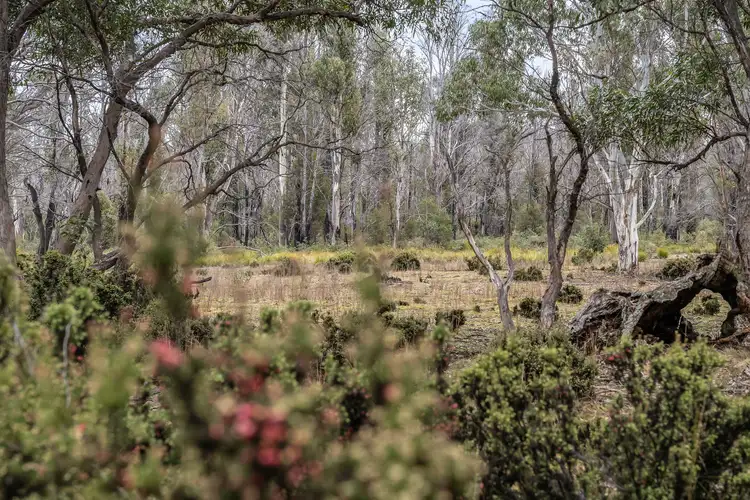 Lot 3 Waddamana Road, Waddamana TAS 7030