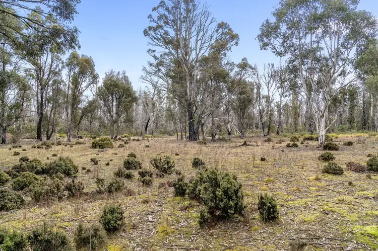 Lot 3 Waddamana Road, Waddamana TAS 7030