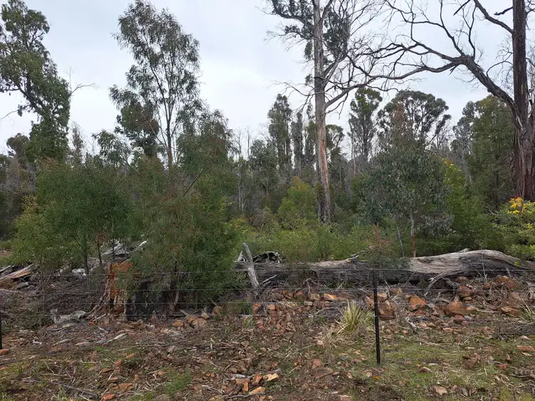 Fifth view of Homely rural property listing, Lot 3 Waddamana Rd, Waddamana TAS 7030