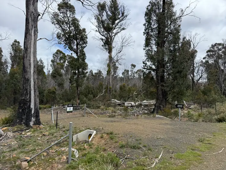Sixth view of Homely rural property listing, Lot 3 Waddamana Rd, Waddamana TAS 7030