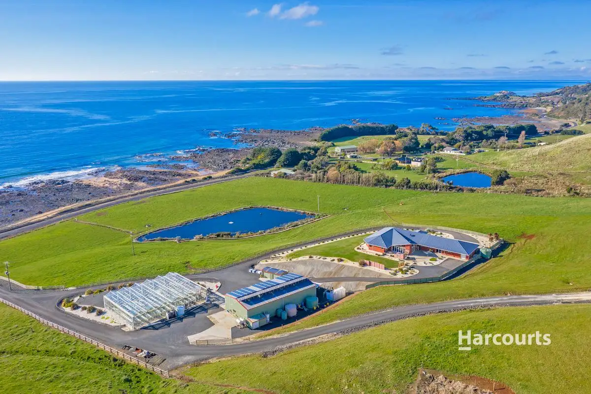 Main view of Homely house listing, 683 Penguin Road, Penguin TAS 7316
