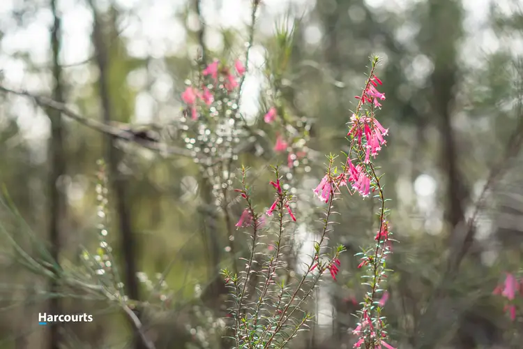 Fourth view of Homely land listing, 44 Klasen Road, Police Point TAS 7116