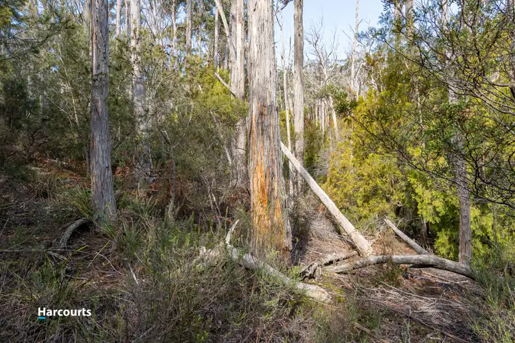 Fifth view of Homely land listing, 44 Klasen Road, Police Point TAS 7116