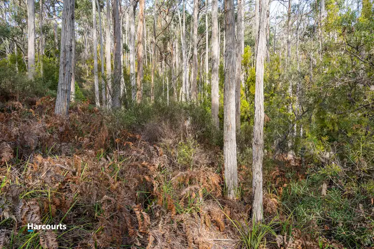 Seventh view of Homely land listing, 44 Klasen Road, Police Point TAS 7116