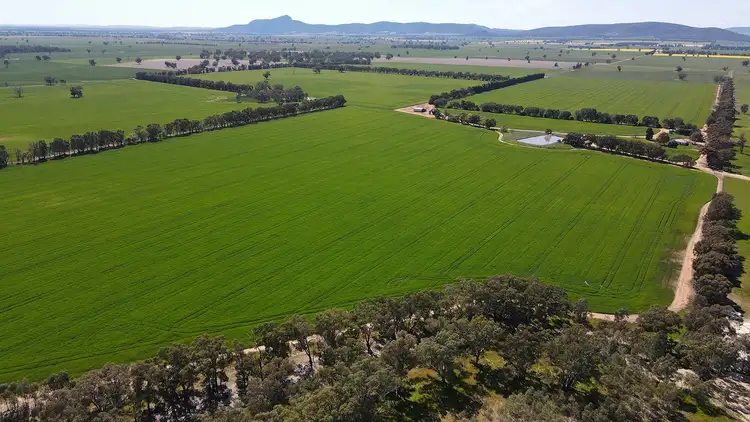 788 Mittagong Yerong Creek Road, Yerong Creek NSW 2642