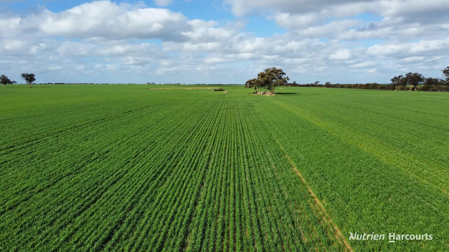 Main view of Homely rural property listing, "Browns" Chandler-Merredin Road, Burracoppin WA 6421