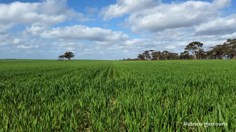 Second view of Homely rural property listing, "Browns" Chandler-Merredin Road, Burracoppin WA 6421