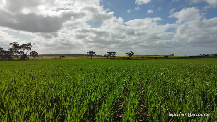 Third view of Homely rural property listing, "Browns" Chandler-Merredin Road, Burracoppin WA 6421
