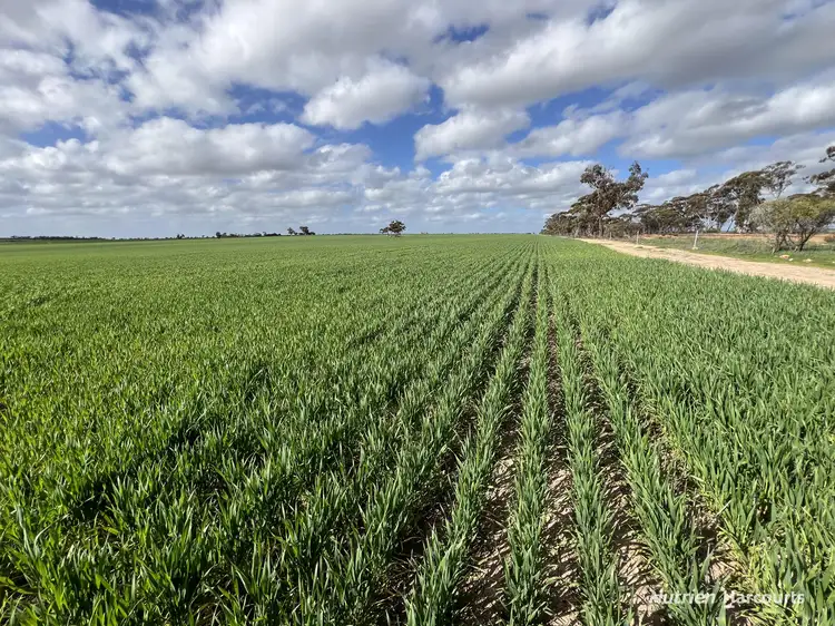 Fourth view of Homely rural property listing, "Browns" Chandler-Merredin Road, Burracoppin WA 6421