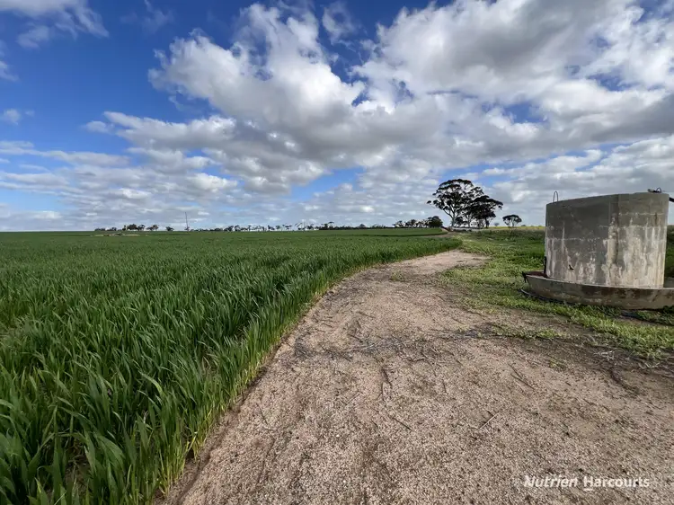 Sixth view of Homely rural property listing, "Browns" Chandler-Merredin Road, Burracoppin WA 6421