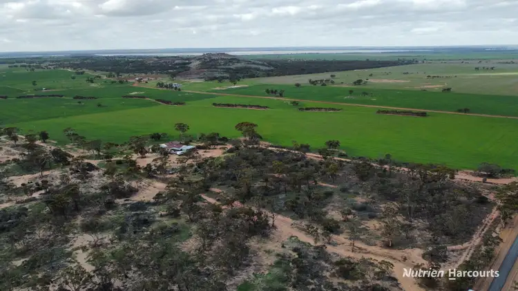 Main view of Homely rural property listing, 1325 Knungajin Road, Nungarin WA 6490
