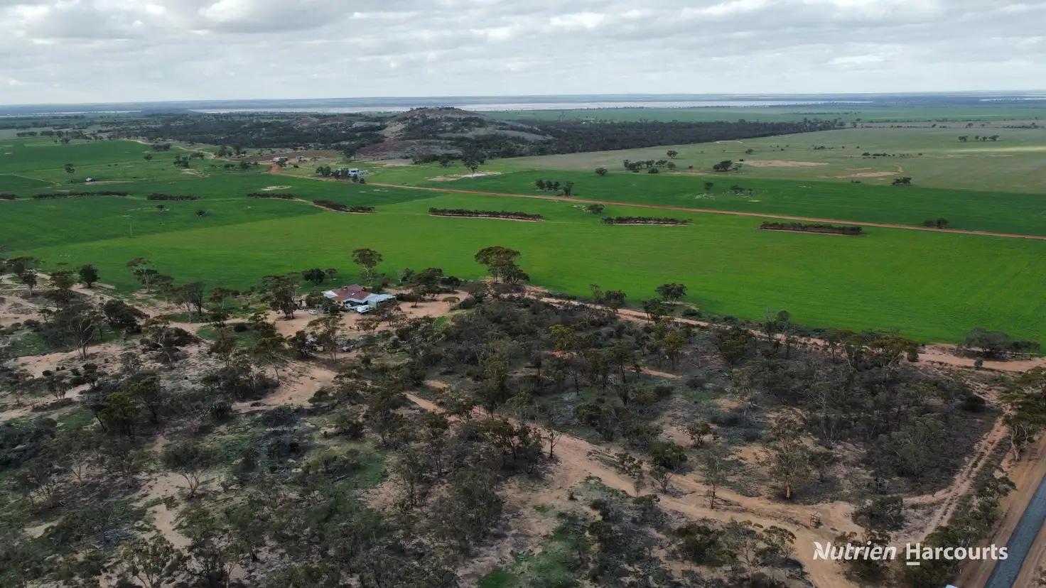 Main view of Homely rural property listing, 1325 Knungajin Road, Nungarin WA 6490