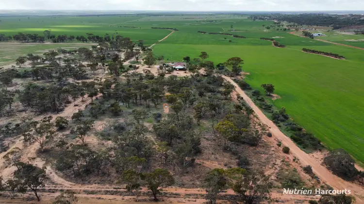 Fourth view of Homely rural property listing, 1325 Knungajin Road, Nungarin WA 6490