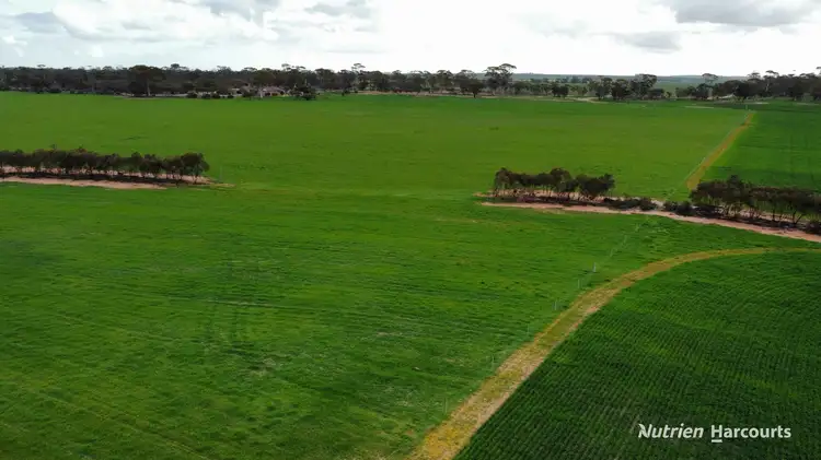 Sixth view of Homely rural property listing, 1325 Knungajin Road, Nungarin WA 6490