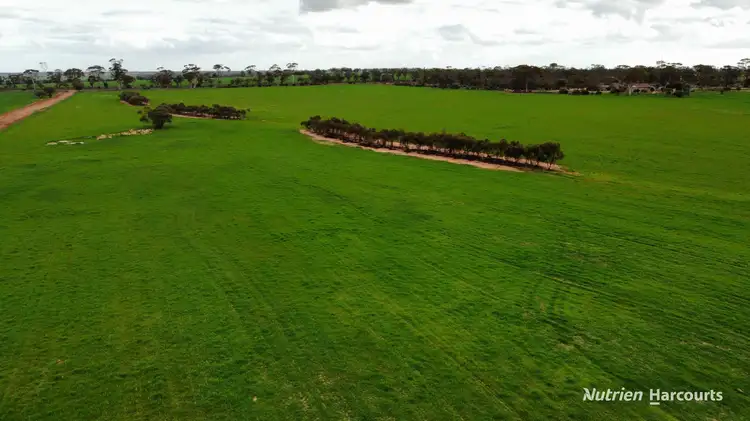 Seventh view of Homely rural property listing, 1325 Knungajin Road, Nungarin WA 6490