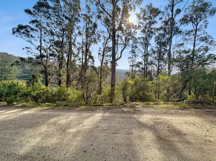 810 Lottah Road, Lottah TAS 7216