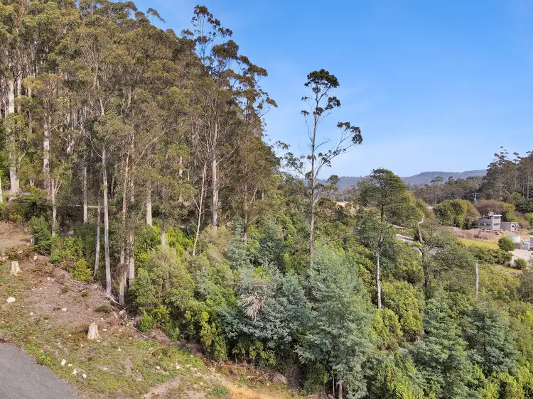 Second view of Homely land listing, 810 Lottah Road, Lottah TAS 7216