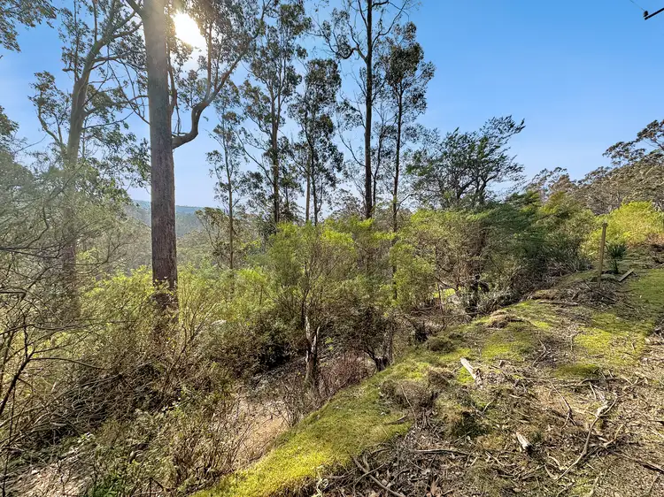 Third view of Homely land listing, 810 Lottah Road, Lottah TAS 7216