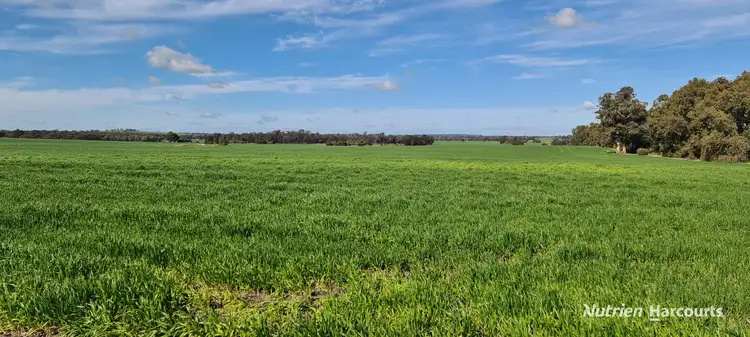 Main view of Homely rural property listing, "Neymerup" Neymerup Road, Kojonup WA 6395
