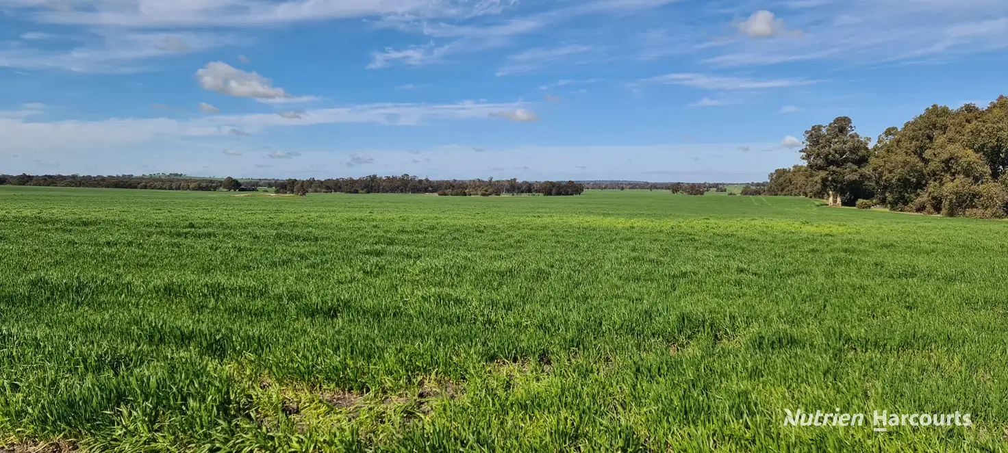 Main view of Homely rural property listing, "Neymerup" Neymerup Road, Kojonup WA 6395
