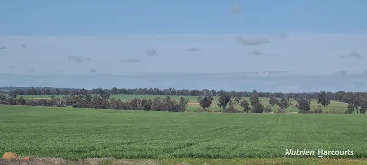 Third view of Homely rural property listing, "Neymerup" Neymerup Road, Kojonup WA 6395