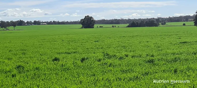 Fourth view of Homely rural property listing, "Neymerup" Neymerup Road, Kojonup WA 6395