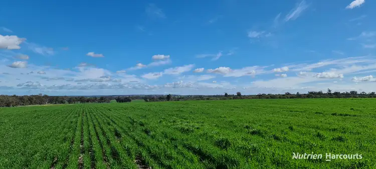 Sixth view of Homely rural property listing, "Neymerup" Neymerup Road, Kojonup WA 6395