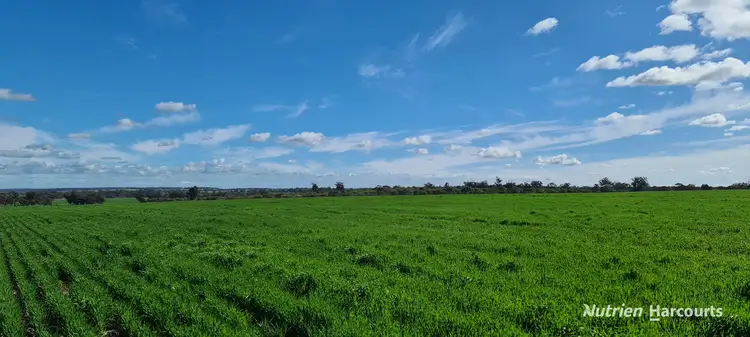 Seventh view of Homely rural property listing, "Neymerup" Neymerup Road, Kojonup WA 6395