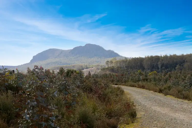 Lot 1 Dilgers Hill Road, Mathinna TAS 7214